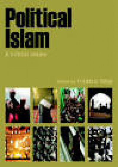 Political Islam A criitical reader