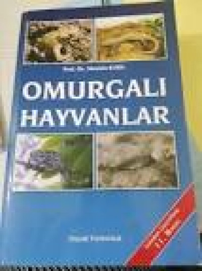 OMURGALI HAYVANLAR