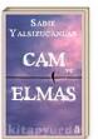 Cam Ve Elmas - Roman